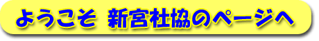 悤 V{sЋ̃y[W